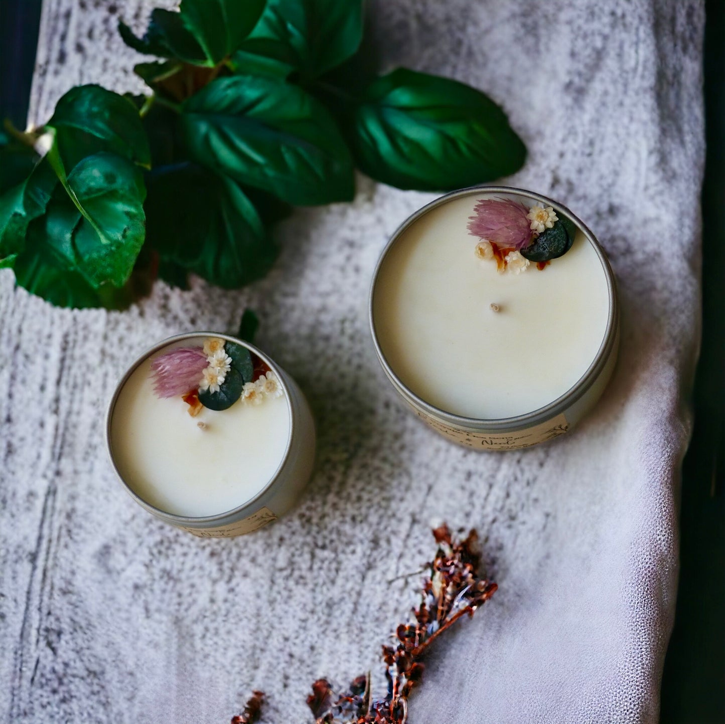 Basilic & Néroli, bougie de soja
