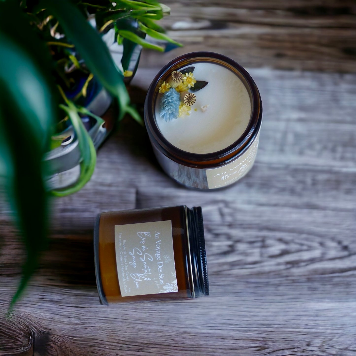 Bois de Santal & Sauge bleue, bougie de soja